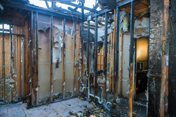 Professional Odor Removal technician working in Vass, NC